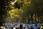 Wings For Life 2025 culmina jornada con una buena recaudación global