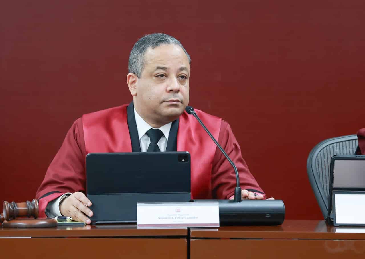 El magistrado Napoleón R. Estévez Lavandier, presidente del Tribunal Constitucional (TC)