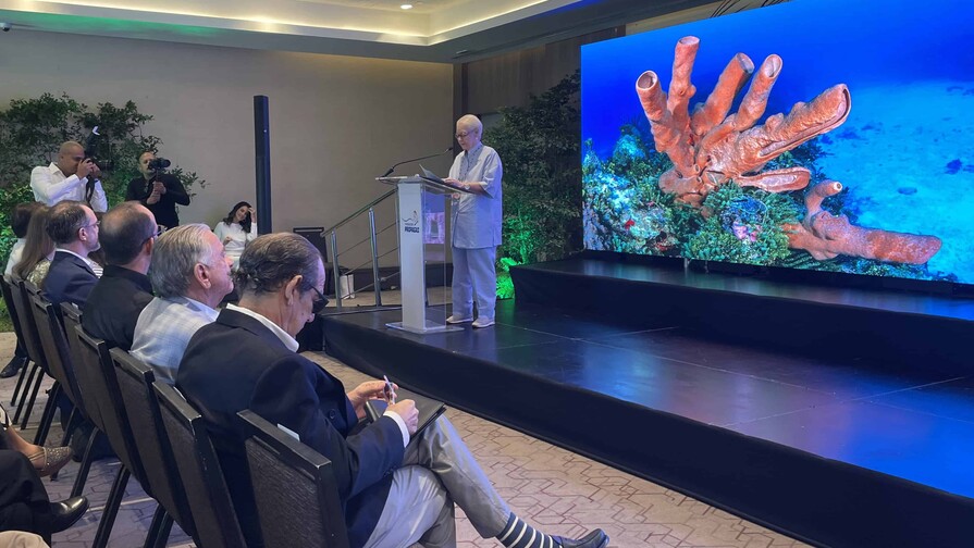 Blanqueamiento masivo y la situación de los arrecifes de coral