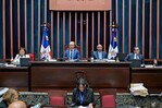 El Senado desempolva proyecto para frenar la proliferación de bancas
