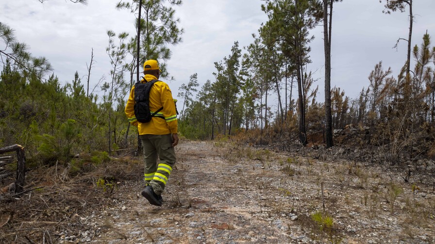 Reducción de lluvias en RD y su impacto en la agricultura La sequía golpea al Caribe: Puerto Rico declara desastre agrícola y RD advierte sobre el déficit