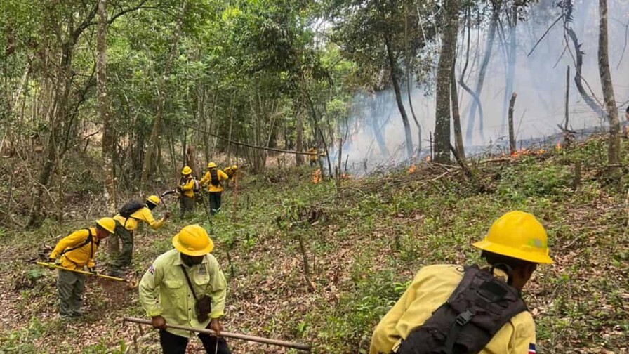 Un incendio forestal afecta otra vez a la Sierra de Bahoruco