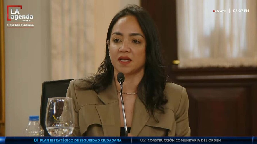 Gobierno presenta plan de seguridad ciudadana ante crímenes Faride reconoce que percepción de inseguridad persiste en el país, pese a reducción de homicidios