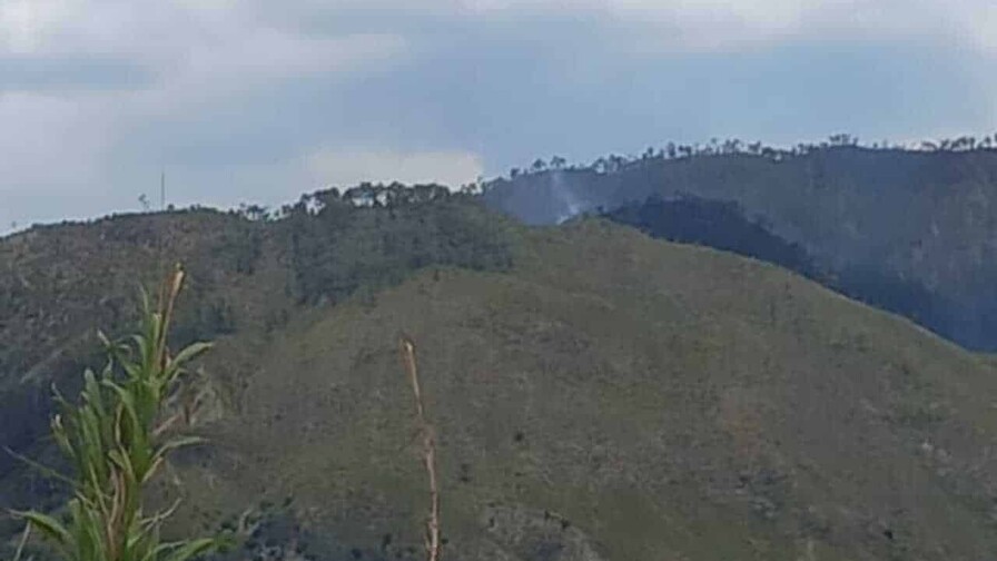 Daños por incendios en Parque Nacional Valle Nuevo y justicia