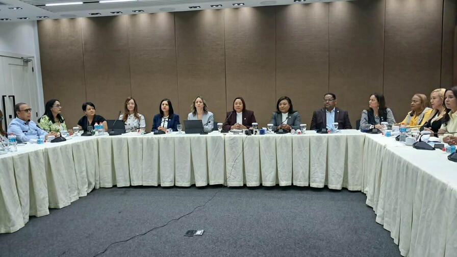 El proyecto de ley Mirabal establece sanciones por violencia vicaria