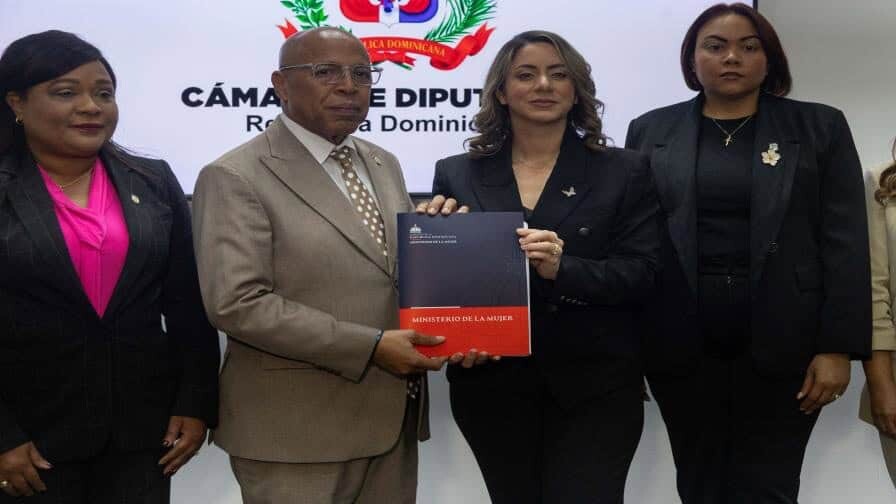 Comisión especial analiza Ley Mirabal sobre violencia a mujeres La Ley Mirabal propone hasta 40 años de cárcel contra quien mate a hijos para castigar a madres