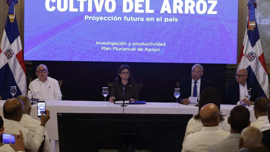 Gobierno promete medidas, pero productores siguen preocupados por presión del arroz estadounidense