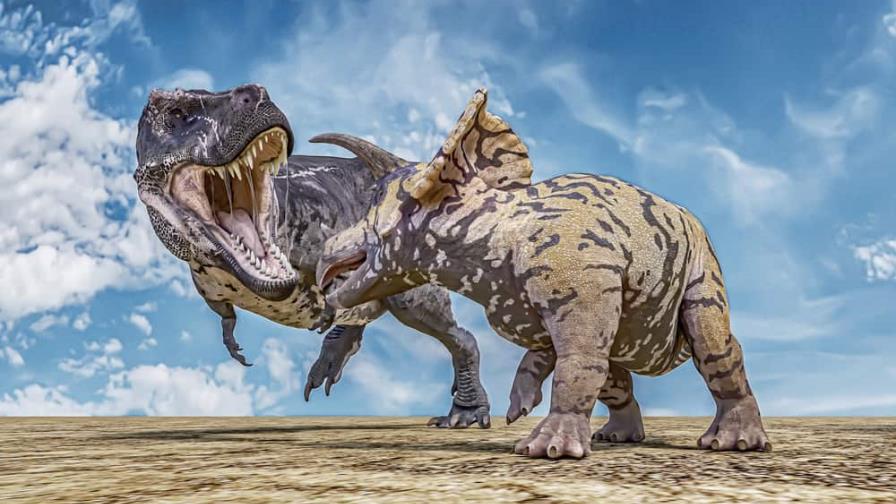 Estudio sobre el origen de la vida en la Tierra y cometas Cuál es el registro de vida más antiguo en la Tierra